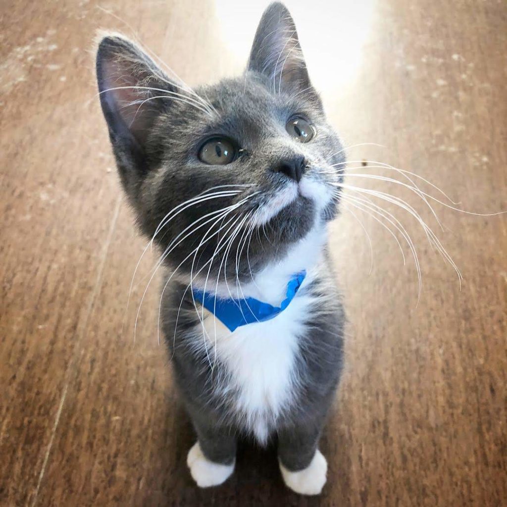 Death’s Door BarBQ