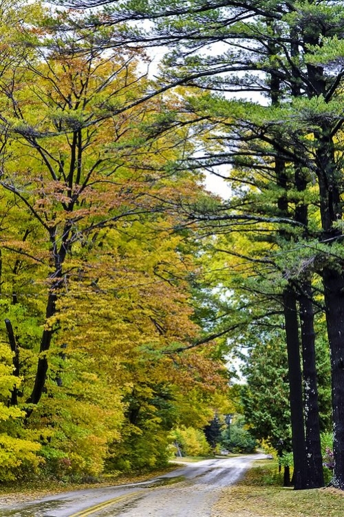 2. Top-Right_Fall Road_Frykman 500