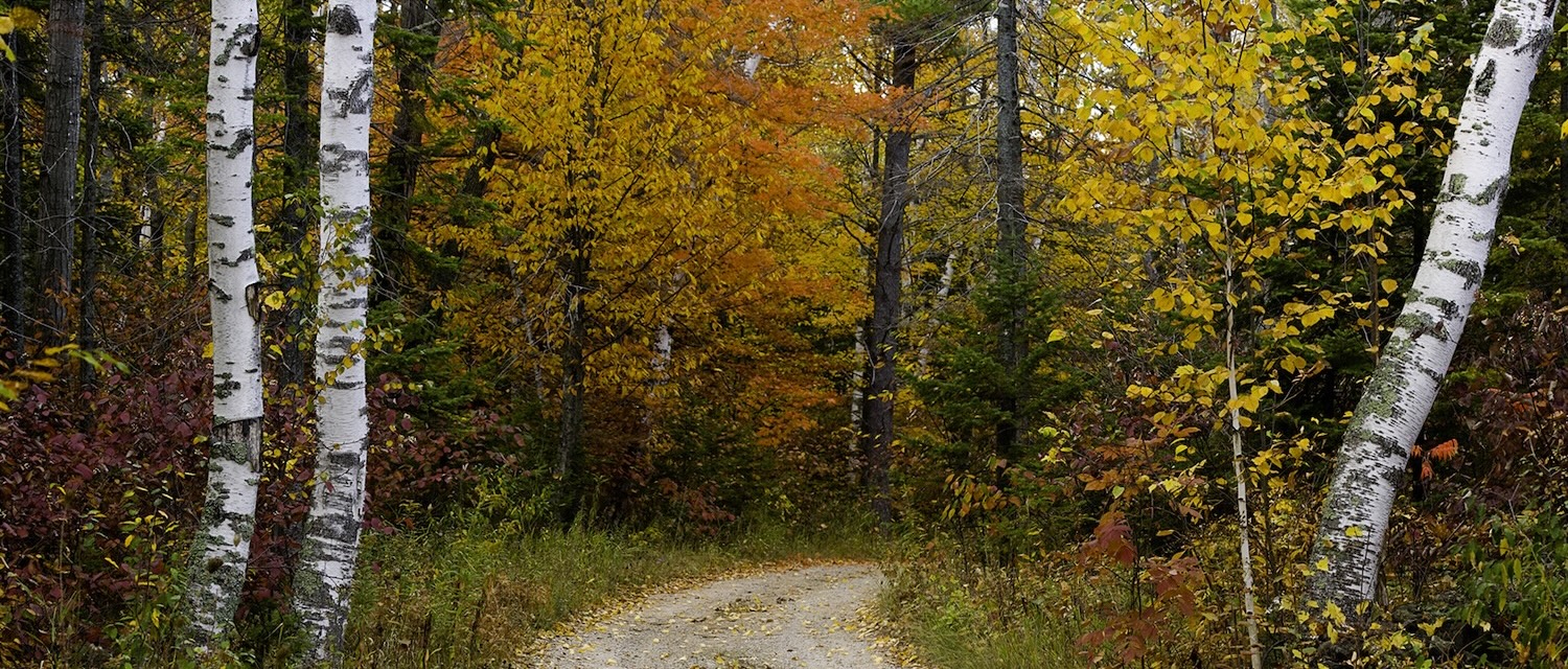4. Center-Middle_Country-Road 1500