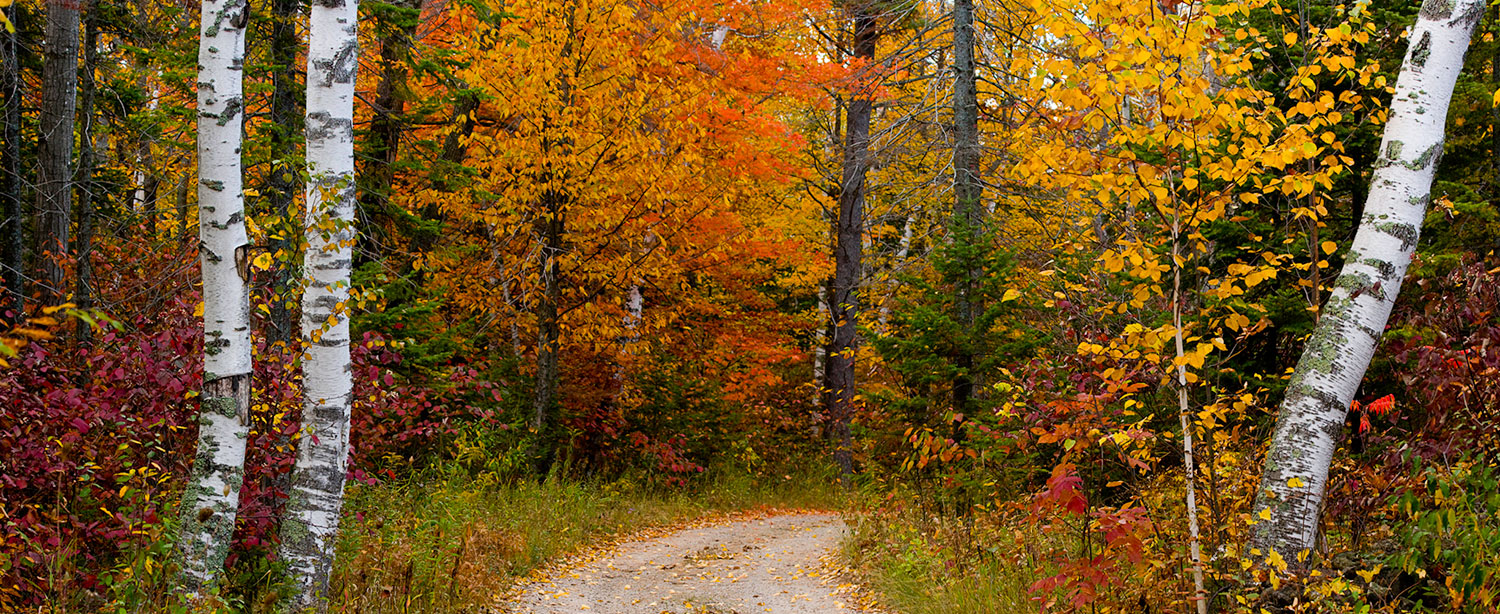 4.-Center-Middle_Country-Road