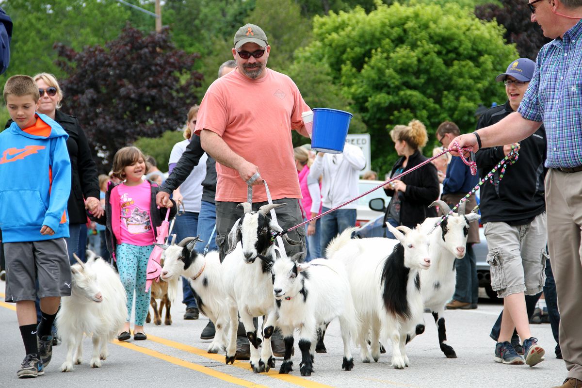 Annual “Roofing of the Goats Parade” Returns to Sister Bay on Saturday