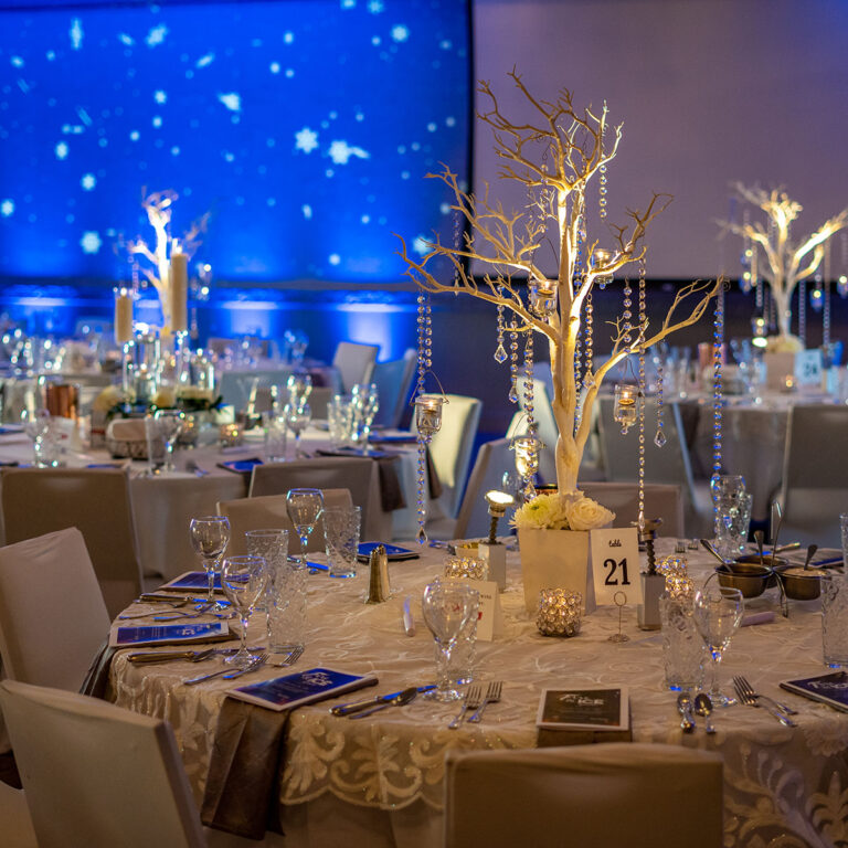 2024 Fire & Ice Gala Door County Today