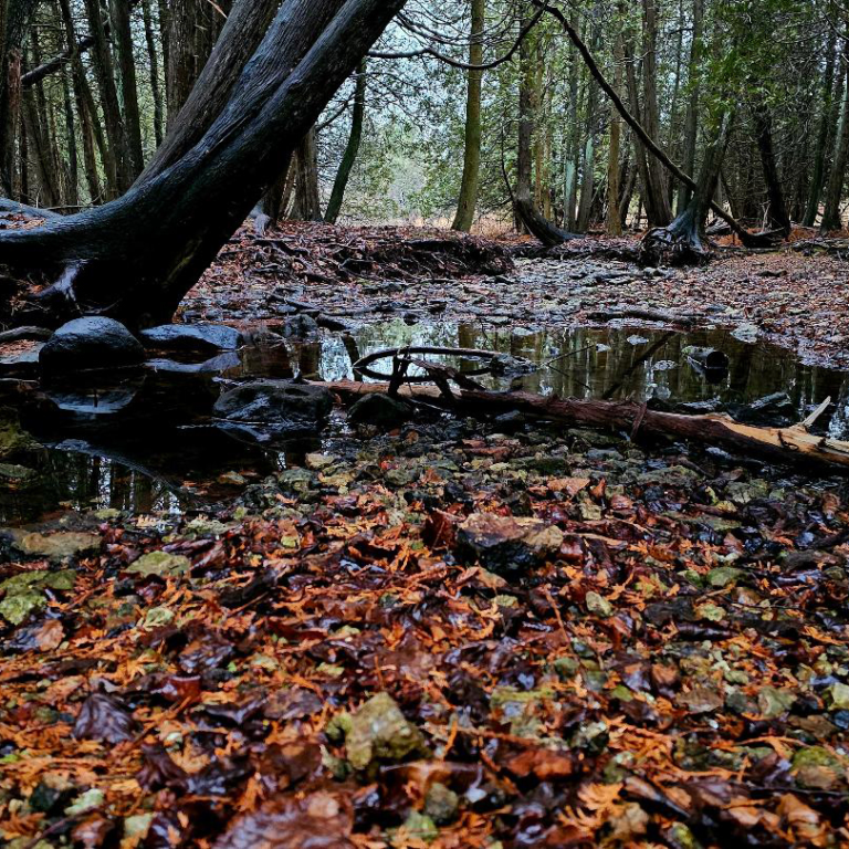 Halloween at Crossroads Door County Today